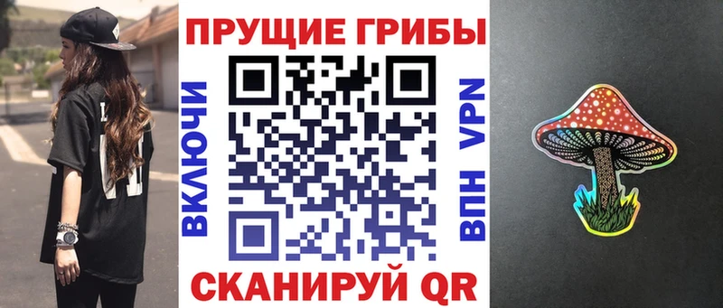 Псилоцибиновые грибы мицелий  площадка наркотические препараты  Удомля 